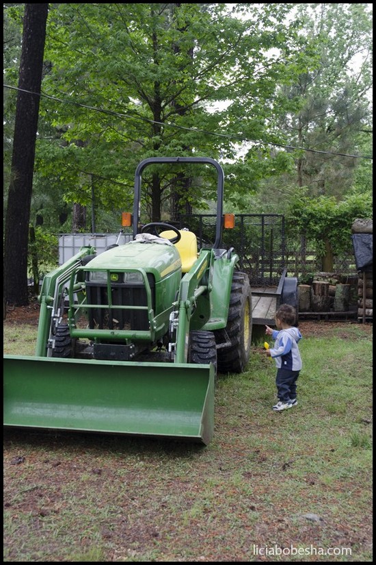 ennis pointing at tractor